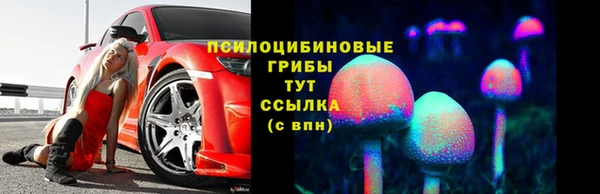 не бодяженный Богданович