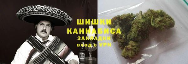 спиды Богородицк