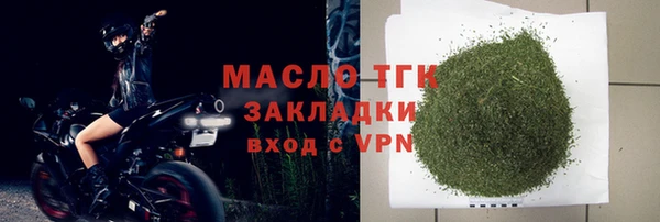 спиды Богородицк