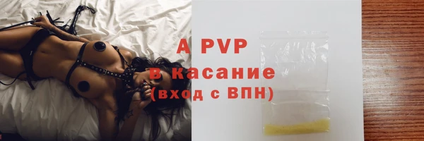 спиды Богородицк