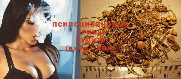 не бодяженный Богданович