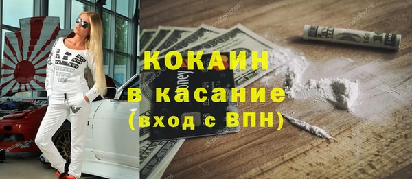 спиды Богородицк