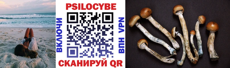 Галлюциногенные грибы Psilocybe  даркнет сайт  МЕГА ссылка  Дрезна 